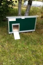 Chicubes Plastic Chicken House for 6 Hens Green