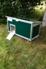 Chicubes Plastic Chicken House for 6 Hens Green - Image 3