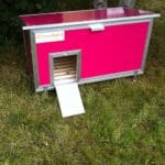 Chicubes Plastic Chicken House for 6 Hens In Hot Pink