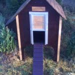 Chicubes Wooden Chicken House for 8 Hens Brown