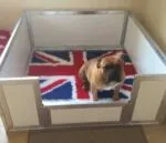 Easy Clean Plastic Insulated Whelping Box