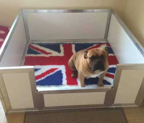 Easy Clean Plastic Insulated Whelping Box