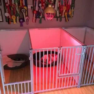 Triple Linked STD Size Puppy Pens