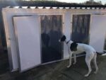 Double XXL Dog Cabin