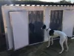 Double XXL Dog Cabin