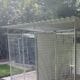 Double block of plastic thermal walk in dog kennels